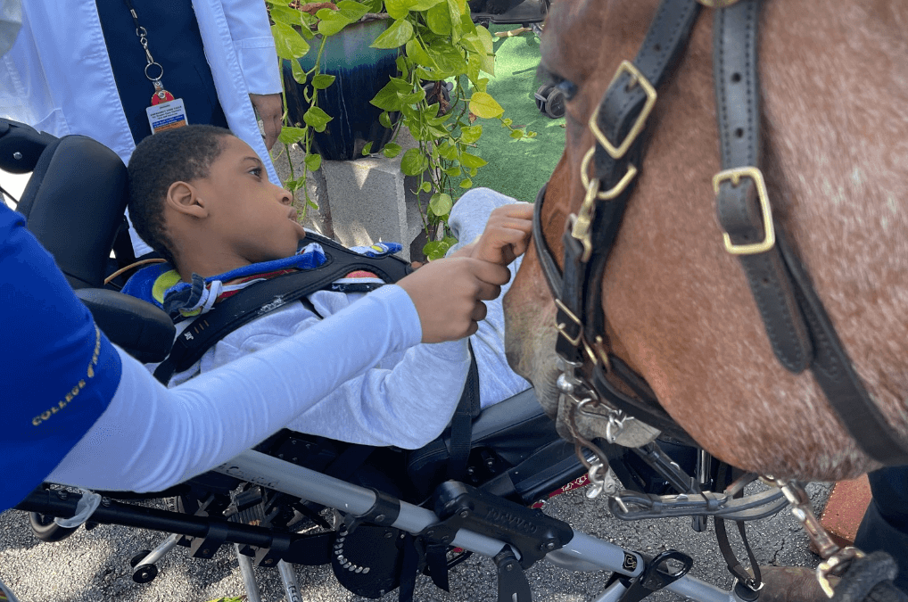 5 Myths about Hippotherapy for New Parents with a Special Needs Child