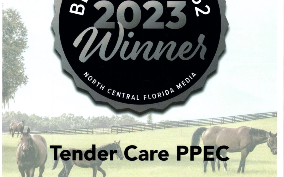 Tender Care PPEC Voted Best Skilled Nursing 2023 Silver Winner