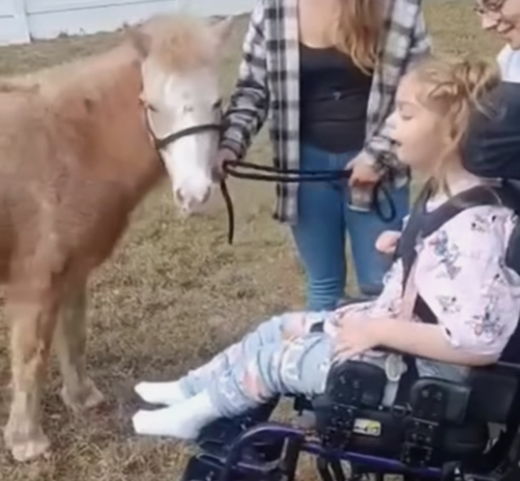 Buckles the Pony Came to Our Dunnellon Center!