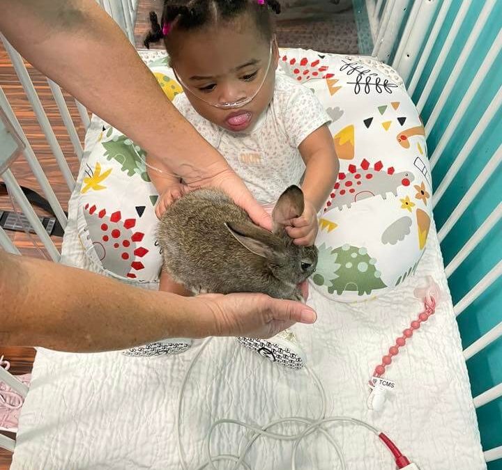 Critters on Call brought their adorable bunnies to visit Our St. Augustine and Palatka Centers, and it was a hopping good time! [2025]